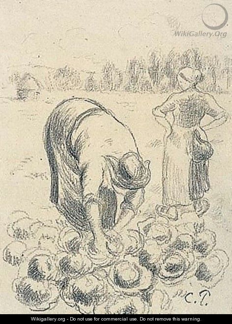 Femme Cueillant Des Choux - Camille Pissarro