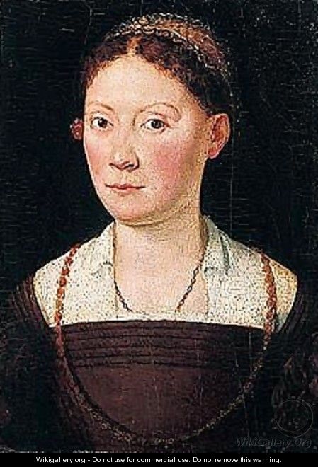 Portrait of a lady, half-length, wearing a brown dress - Sofonisba Anguissola