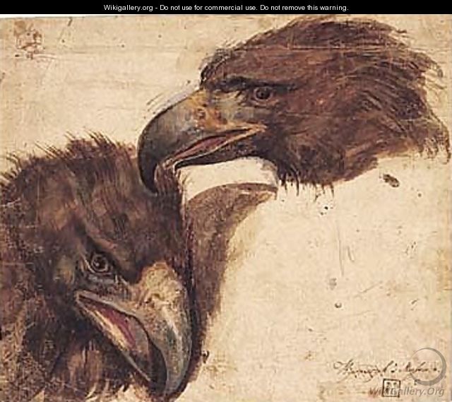 Two Studies Of The Head Of An Eagle - Giovanni (Giovanni da Udine) Nanni (Nani)