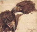 Two Studies Of The Head Of An Eagle - Giovanni (Giovanni da Udine) Nanni (Nani)