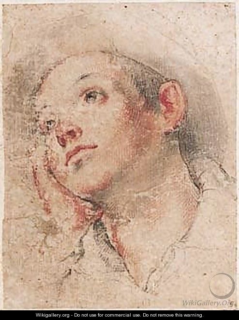 Study of the head of a boy - Florentine School