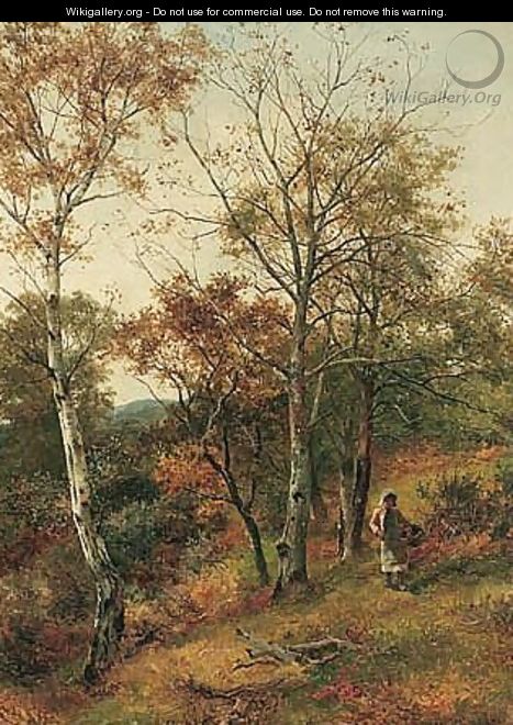 Autumn In The Wood, Benarth Near Conway - David Bates