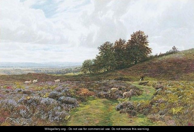 Sheep Grazing On A Moorland - George Vicat Cole