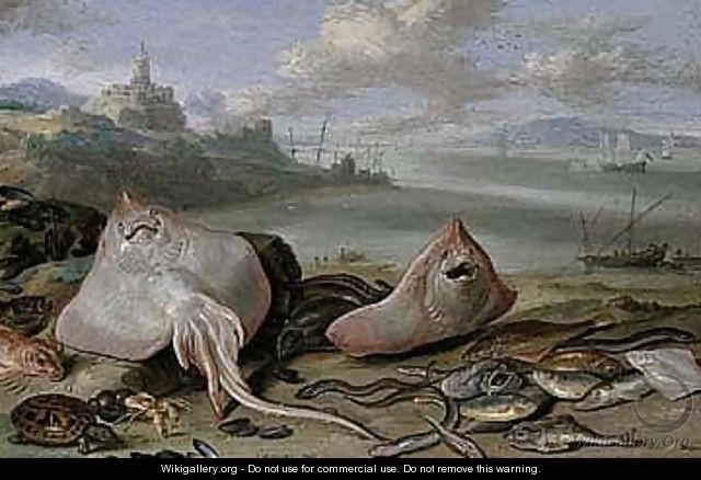 A Beach Scene With Rays, Eels, A Hermit Crab, Red Mullet, A Tortoise, And Other Fish - Jan van Kessel