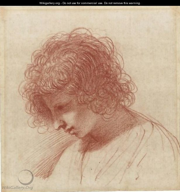 Head Of A Young Man In Profile, Looking Down To The Left - Giovanni Francesco Guercino (BARBIERI)