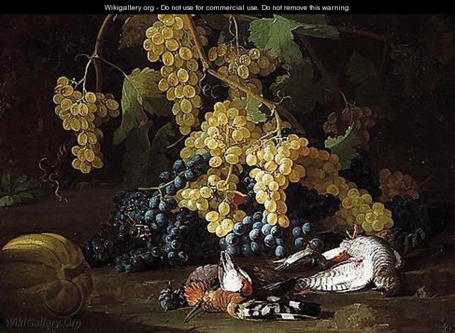 Still life of red and white grapes, together with a hoopoe - (after) Franz Werner Von Tamm