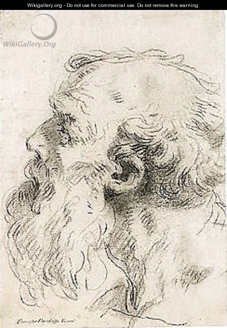 Head Of A Bearded Old Man - Francesco Fontebasso