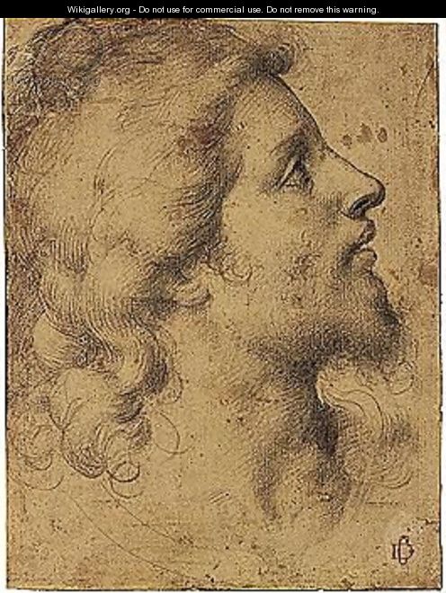 Head Of A Young Man, In Profile - (after) Giuliano Bugiardini
