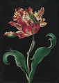 A Yellow And Red Tulip With A Dragonfly And A Caterpillar - Barbara Regina Dietzsch