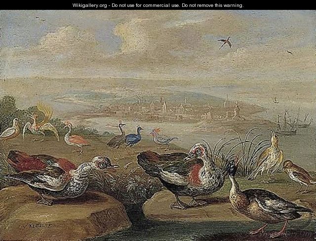 Ducks And Other Birds On The Seashore - Jan van Kessel
