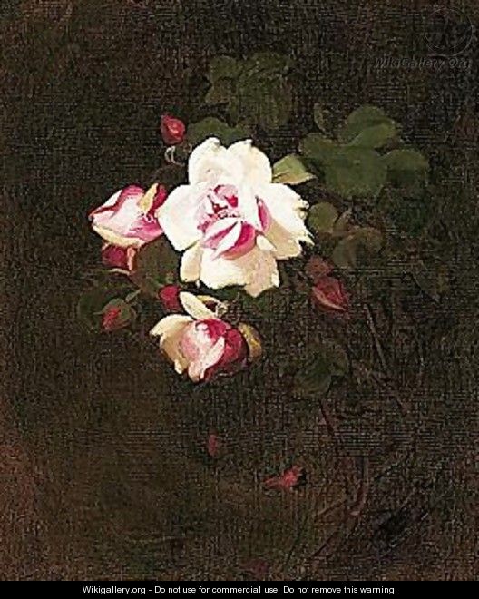 Pink Roses 3 - James Stuart Park