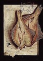 A trompe l'oeil of fish hanging before a letter - Dutch School