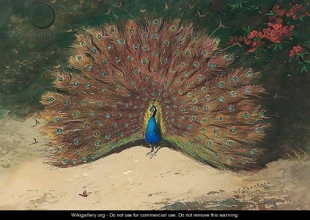 Peacock And Butterfly - Archibald Thorburn