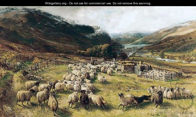 Sheep Gathering - Joseph Denovan Adam