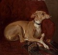 A greyhound resting on a chair - Jacques-Raymond Brascassat