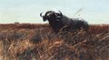 Kafferbuffel Sichernd (Buffalo On The Alert) - Wilhelm Kuhnert