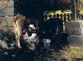 Ordenando La Vaca (Milking The Cow) - Salvador Martinez Cubells