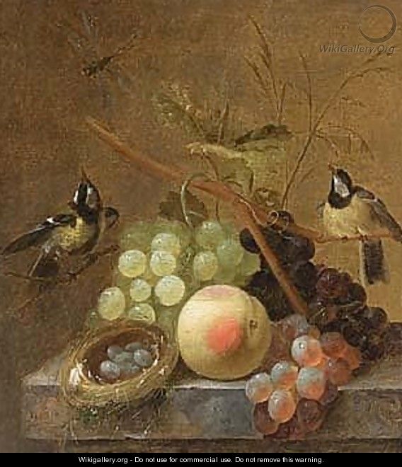 A Still Life Of Grapes, A Peach And A Dragonfly, Together With Blue Tits - (after) Johannes Hendrick Fredriks