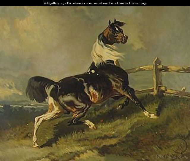 Skewbald Stallion - Alfred Dedreux