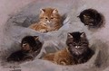 Five Kittens - Henriette Ronner-Knip