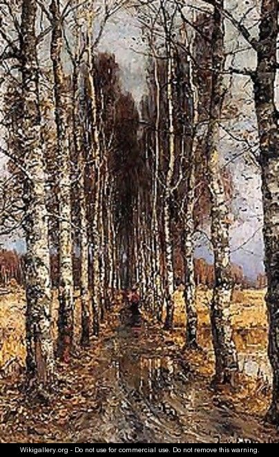 Avenue of birch trees - Iulii Iul
