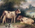 Calves And Ducks - Walter Hunt
