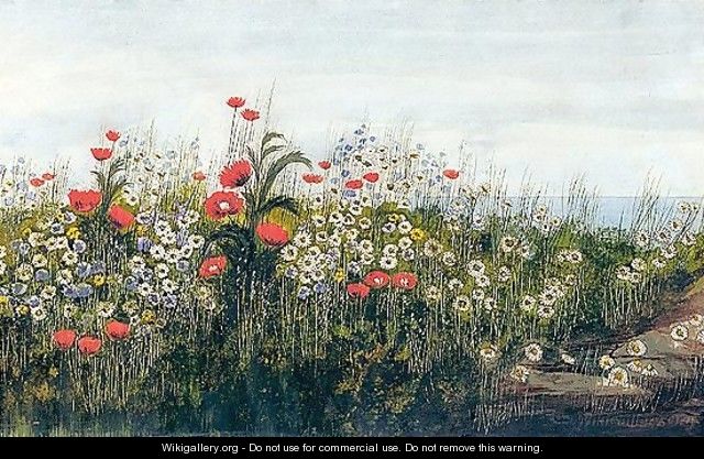 A Poppy Field By The Sea - Andrew Nicholl