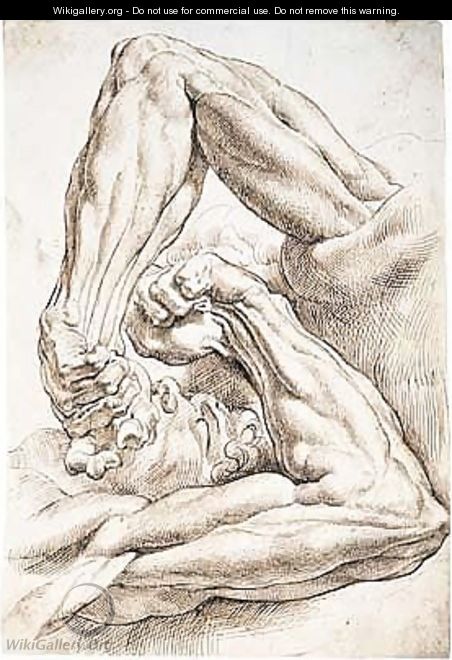 Pen And Brown Ink - Peter Paul Rubens