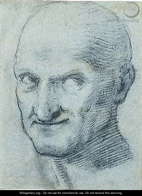 Head of a bald man - Florentine School