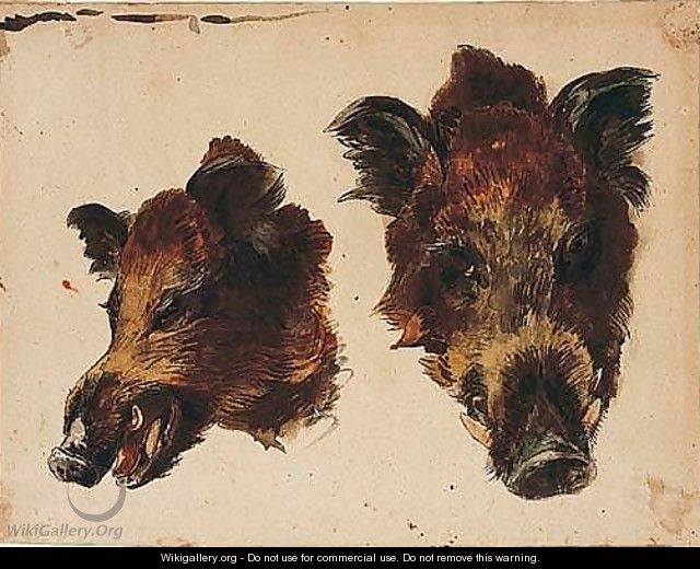 Two Studies Of A Boars Head - Jean-Baptiste Huet