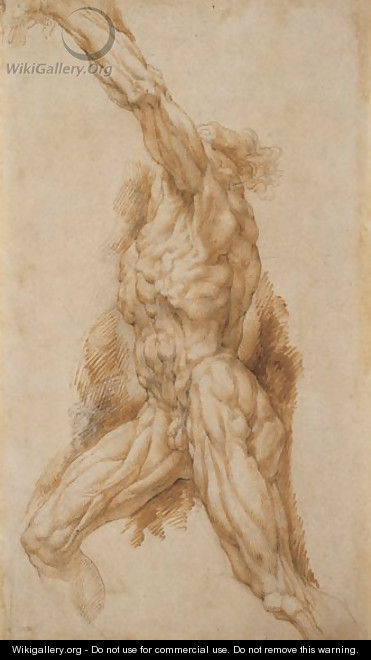 Anatomical Study of a Man Reaching Up to the Left - Peter Paul Rubens