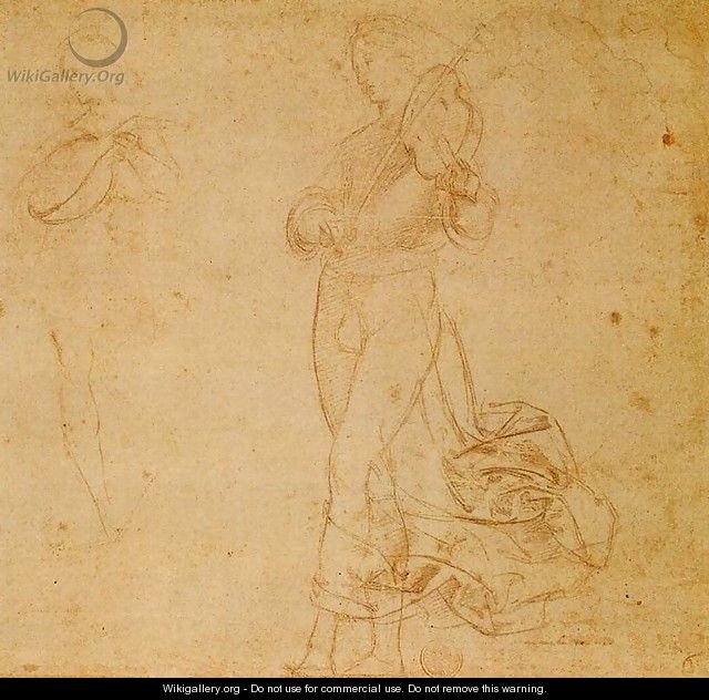 Study of an Angel - Raphael