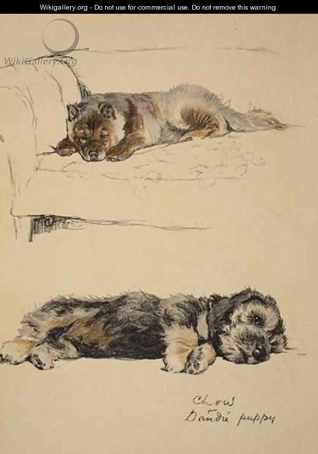 Chow and Dandie Puppy - Cecil Charles Aldin
