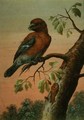 A Parrot on a Branch - Christoph Ludwig Agricola