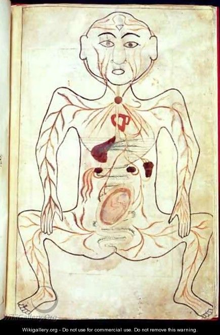 Organic Members and the Embryo in the Human Body - Tashri Al-Badan