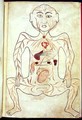Organic Members and the Embryo in the Human Body - Tashri Al-Badan