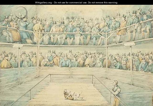 Dog Fight at the Westminster Pitt - Henry Thomas Alken