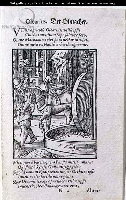 Oil Maker, illustration from the Latin edition of 