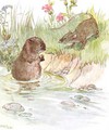 'Called on Squire Water Rat, old friend of the family', illustration from 'The Mischievious Mousie Book' - Anne Anderson