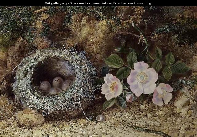 Bird nest and briar roses - W. M. Arundale