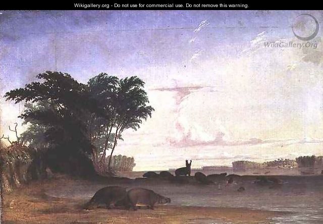 A Herd of Hippopotami near the mouth of the Luala River - Thomas Baines