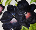 Black and Purple Petunias - Georgia O'Keeffe (inspired by)