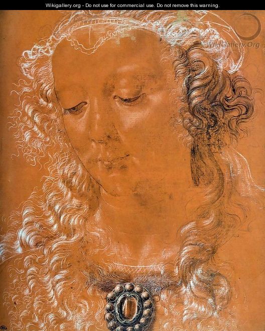 Head of a Woman 2 - Andrea Del Verrocchio