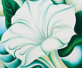 White Trumpet Flower 1932 - Georgia O'Keeffe (inspired by)