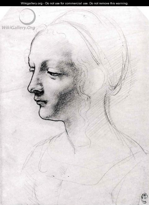 Study for a Portrait of a Woman - Giovanni Antonio Boltraffio