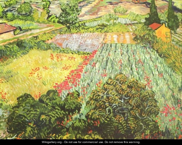 The Poppy Field - Vincent Van Gogh