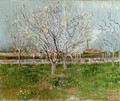 Flowering Orchard - Vincent Van Gogh