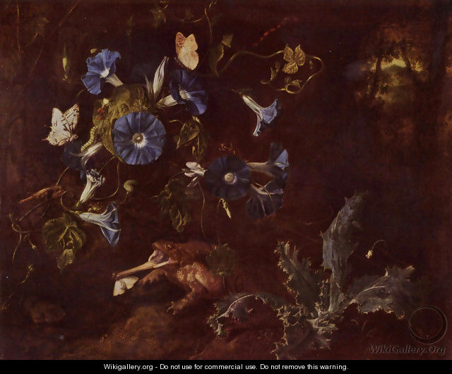 Morning glories, toad, and insect - Otto Marseus Van Schrieck