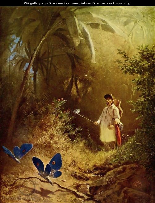 The Butterfly Hunter - Carl Spitzweg