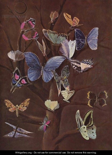 Butterflies - Wilhelm von Kaulbach